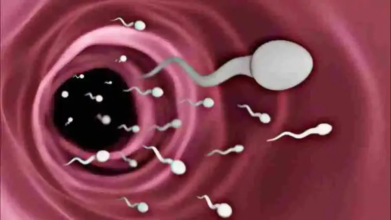 What are the causes of male sperm decline